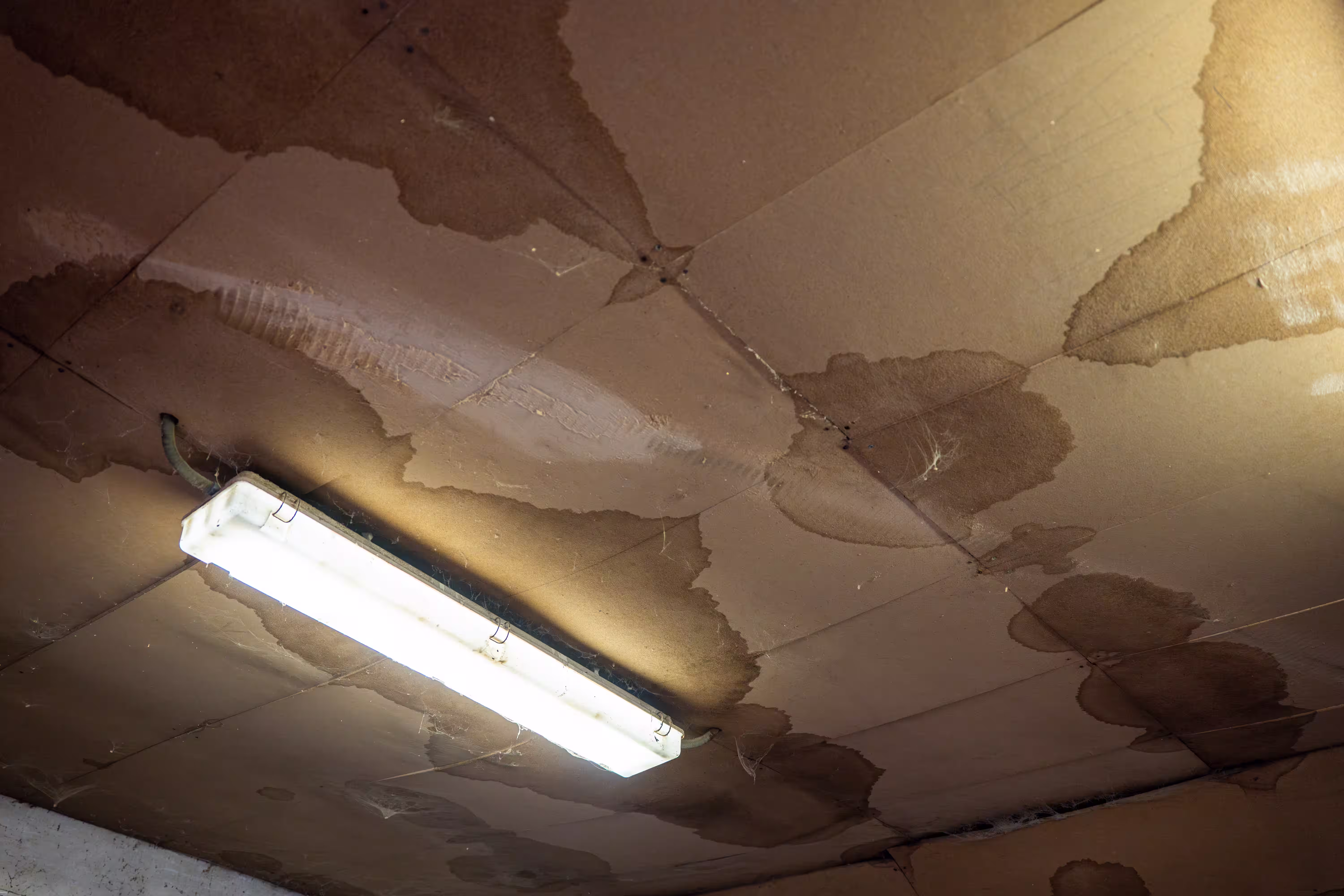 Leak Detection