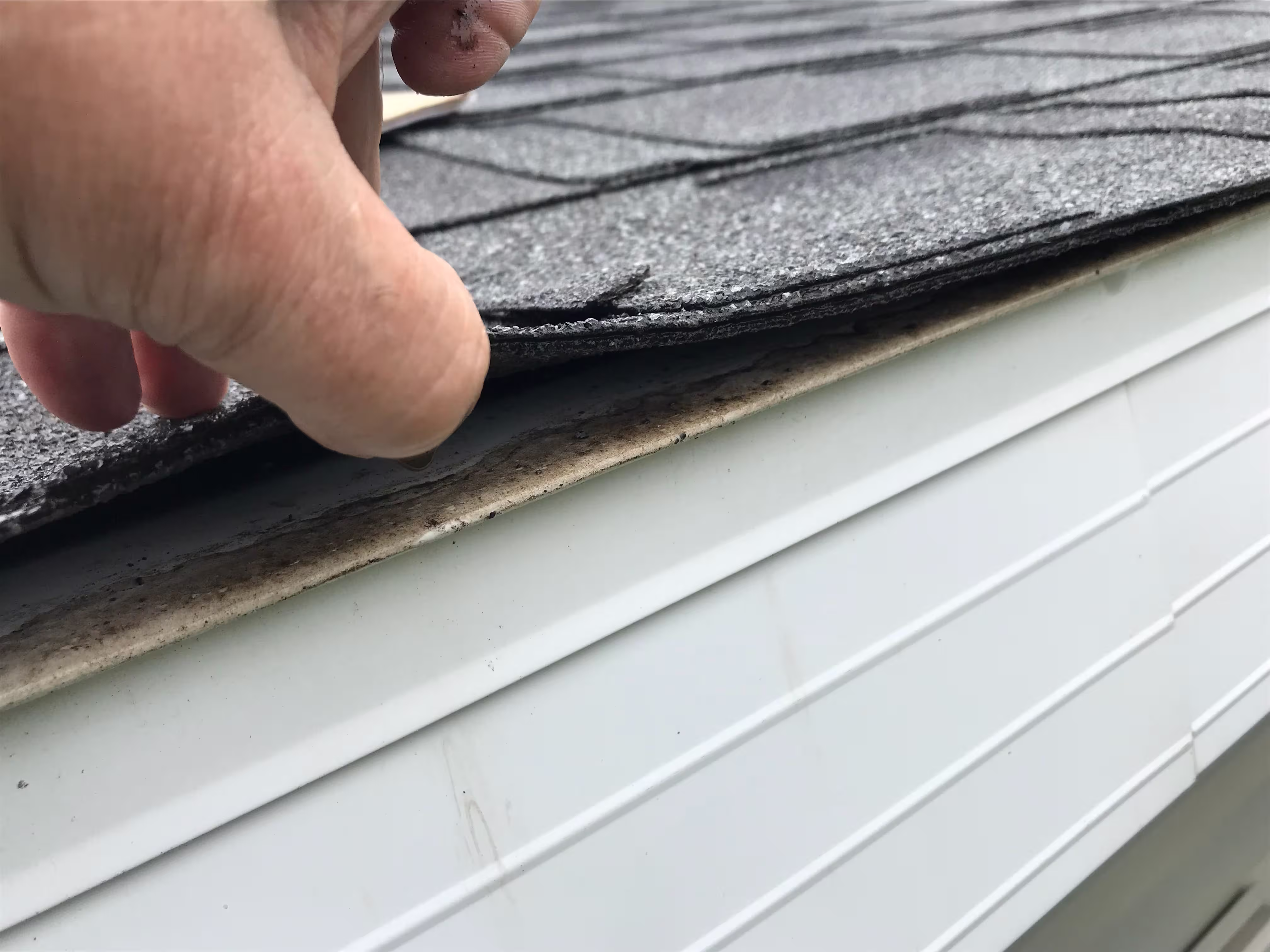 Roof Inspection